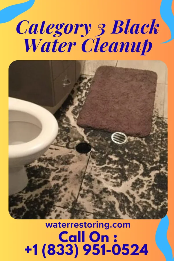 Category 3 Black Water Cleanup in Salem, AR