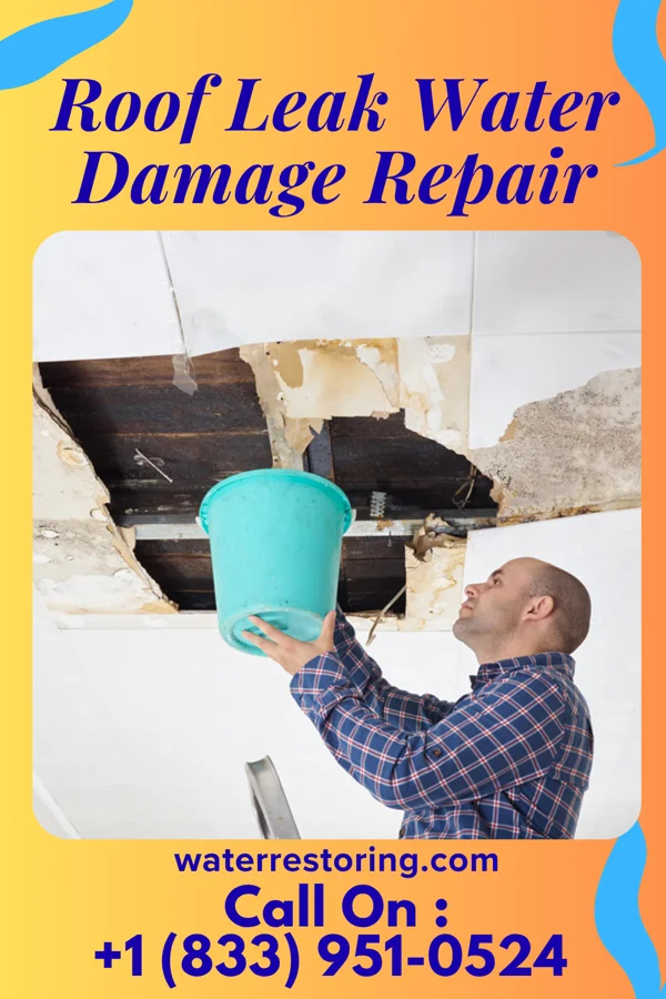 Roof Leak Water Damage Repair in Salem, AR